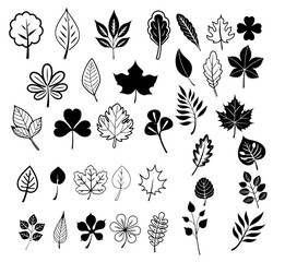 Simple illustration of a plant. Vector illustration of leaves of various shapes.