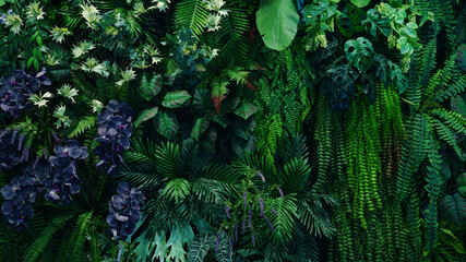 Full Frame of Green Leaves Pattern Background, Nature Lush Foliage Leaf Texture, tropical leaf.