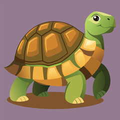 tortoise vector