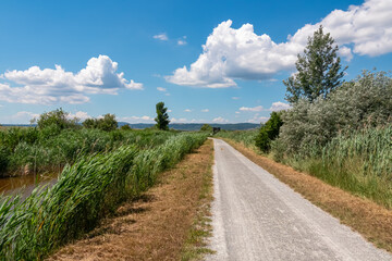 Gravel path winds its way through a lush wetland landscape near Purbach at Neusiedlersee, Austria. Flanked by tall reeds and grasses swaying gently in breeze. Serene beauty and natural charm. Serenity