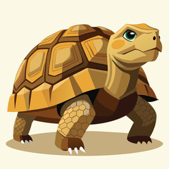 tortoise vector