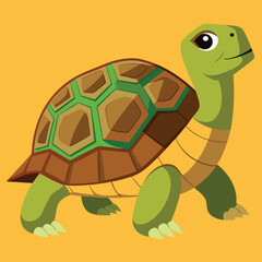 tortoise vector