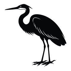 heron on a white background