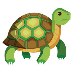 tortoise vector