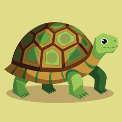 tortoise vector