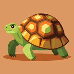 tortoise vector