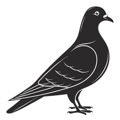 Minimalist Pigeon Silhouette Drawing