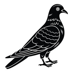 Pigeon Silhouette for Logo Design