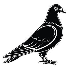 Obraz premium Elegant Pigeon Silhouette Artwork