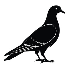 Flying Pigeon Silhouette Vector