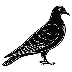 Pigeon Bird Black Silhouette Illustration
