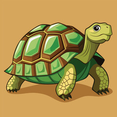tortoise vector