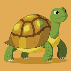 tortoise vector