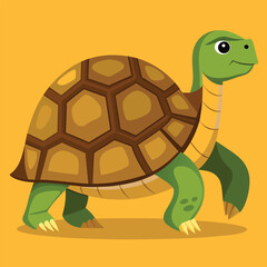 tortoise vector