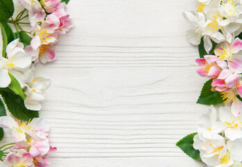 Apple blossoms creating a frame on white wood background