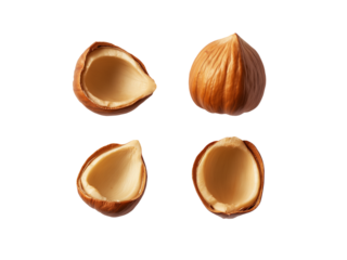 Falling Hazelnut isolated on white background, selective focus