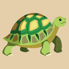 tortoise vector