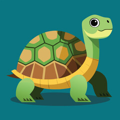tortoise vector