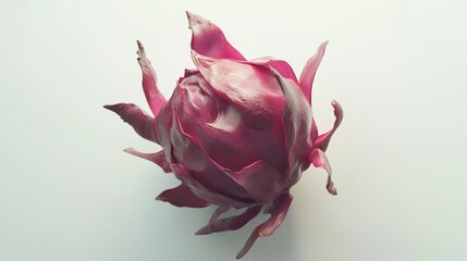 Dragon fruit isolated on white background