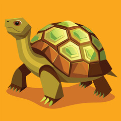 tortoise vector