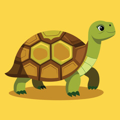 tortoise vector