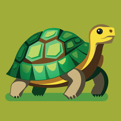 tortoise vector