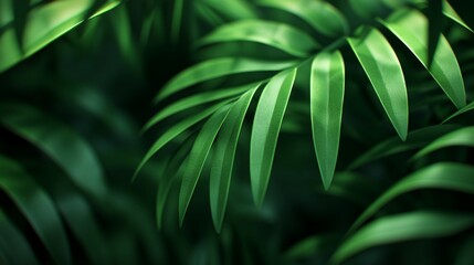 Soft Green Leaves Frame on Light Background