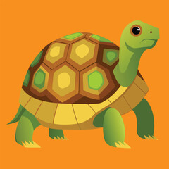 tortoise vector