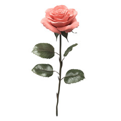 Single Pink Rose Stem Black Background Romantic Flower