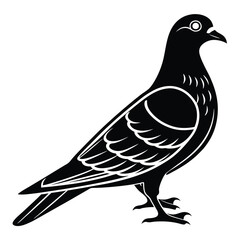 Stylish Pouter Pigeon Silhouette
