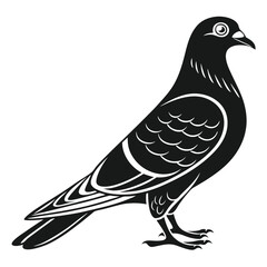 Black Silhouette of Fancy Pigeon