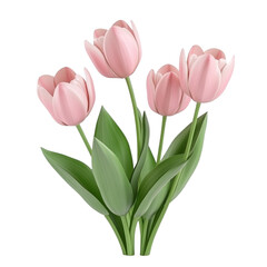 Fototapeta premium Pink tulips bouquet spring flowers blossom nature beauty