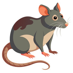 rat vector