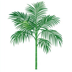 Fototapeta premium Tropical green tree illustration plant leaf.