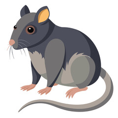 rat vector