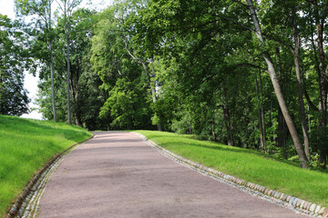 The pedestrian path in the city park is intended for walking and recreation