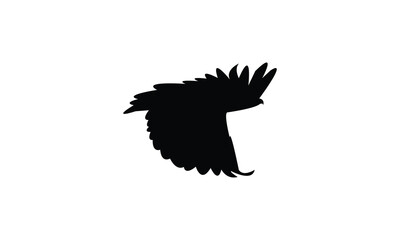 Flying African fish eagle bird Silhouette Design  And Vector Illustration. 