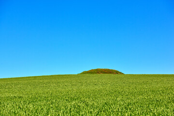 Countryside, blue sky and nature with environment, plants and space with tourism. Empty, field and ecology with mountain, growth and ecosystem with sunshine, wallpaper and landscape in Denmark