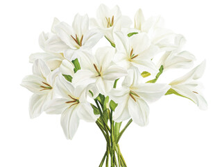 Fototapeta premium Elegant Bouquet of White Lilies: A Stunning Floral Watercolor Painting