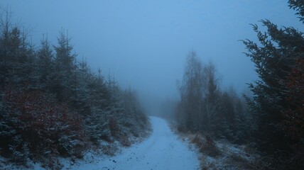 Serene winter landscape with misty bare trees, and a tranquil forest, evoking a sense of mystery and peace, perfect for themes of nature, solitude, and atmospheric beauty