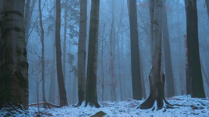 Serene winter landscape with misty bare trees, and a tranquil forest, evoking a sense of mystery...