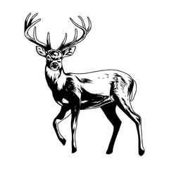 deer hunting illustration logo vector image t shirt