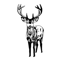deer hunting illustration logo vector image t shirt