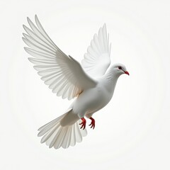 Obraz premium White Dove Flying with Wings Spread on Clean Background