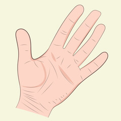 Vector hand drawn illustration of the hand gesture. Five fingers