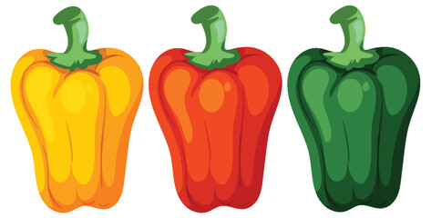 Colorful Bell Peppers Vector Illustration