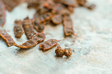 Close up Acacia concinna