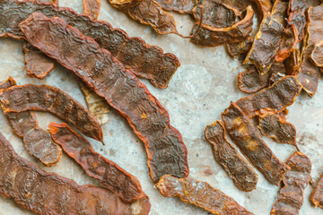 Close up Acacia concinna