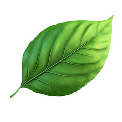 Obraz premium Vibrant Green Leaf Nature Botany Closeup,