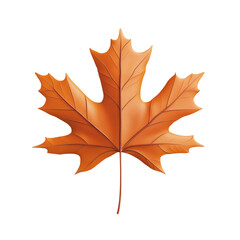 Fototapeta premium Single Orange Maple Leaf Autumn Fall Nature,